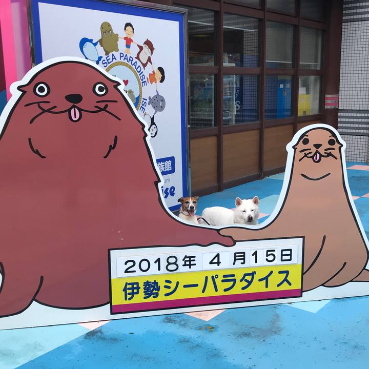 A947cbb8 bfa1 4a3f 9813 61fabb2a29cc 1523795435798