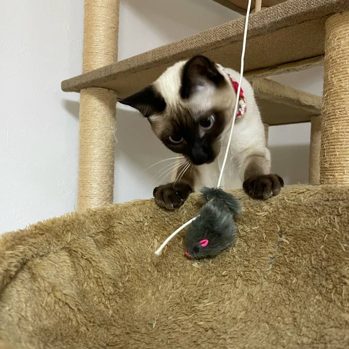 A948242b b0d1 4039 9aee b0f6221977bd 1705433770614