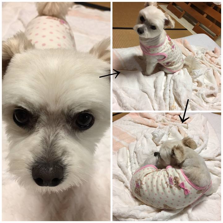 A9482980 5fbc 474f aea3 cd2207cafe29 1559038713756