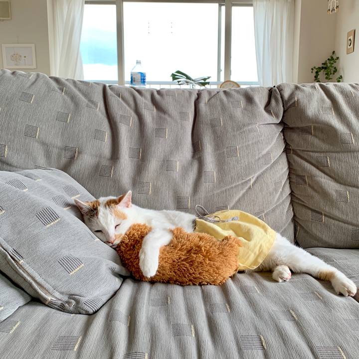 A9489b05 b3bb 47f9 87ad bd9bb485f853 1567836028046