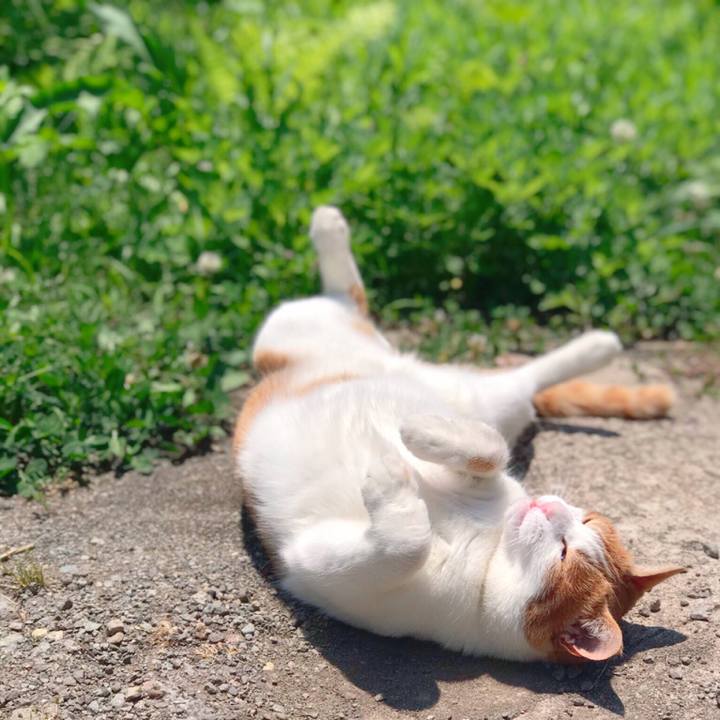 A9489d21 59bc 4e1a a6e9 303f851d3741 1559530616205