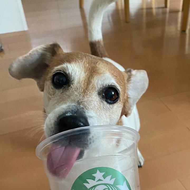 A948b8c9 f970 4435 8378 94aaf1dd50fa 1758627728676