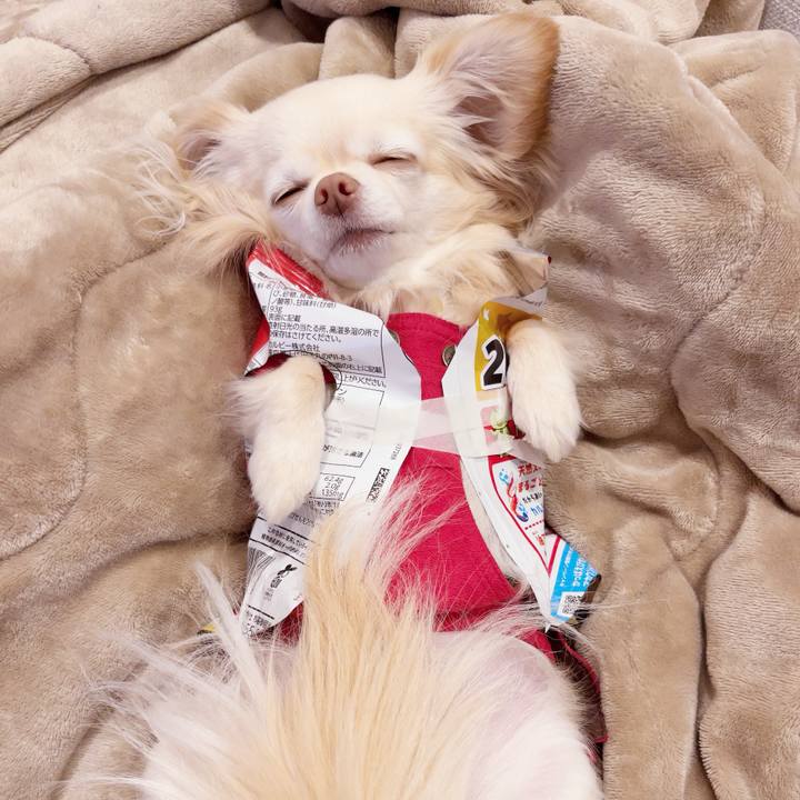 A948e646 4765 4cfb 8ed1 83a9dc0ad5d8 1743548984961