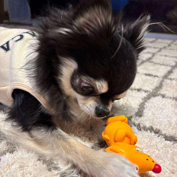 A9490212 34bd 4722 832a fcef7c512230 1737302438712