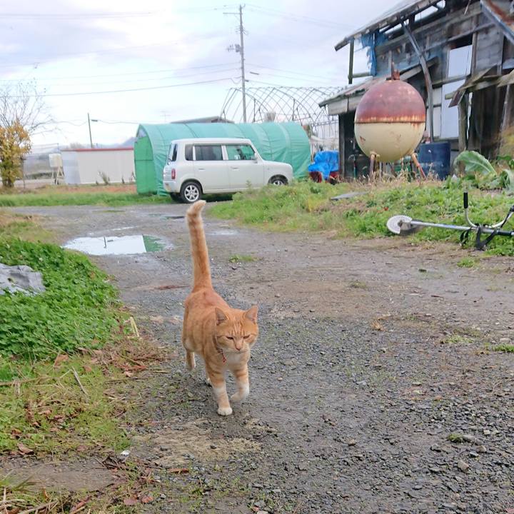 A94925bc f173 4b3a 92fb 60c25e16468d 1573890929137