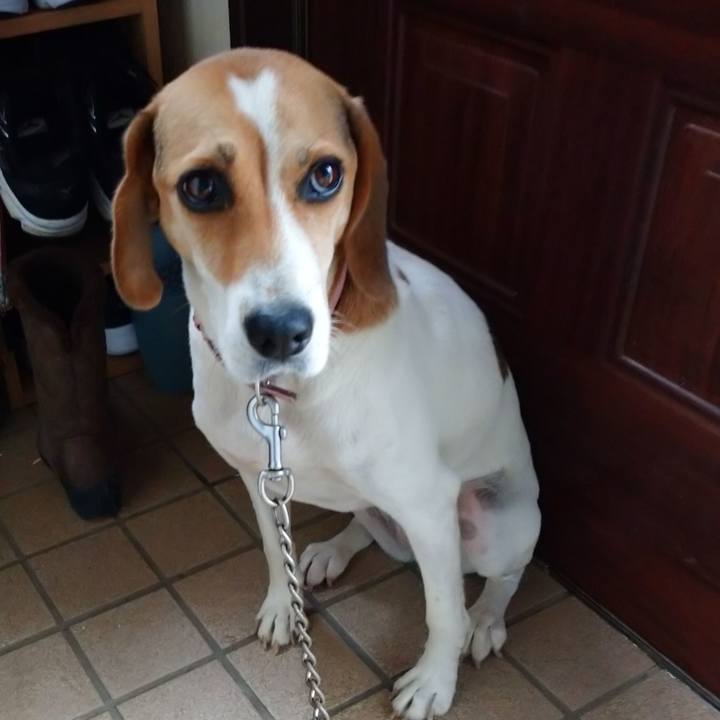 A94946c3 131f 4105 9235 d18b40075d3e 1600059575879