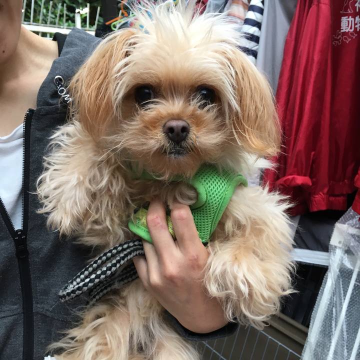 A9494c0f 675d 41f7 893f af45a41b04fc 1557911220794