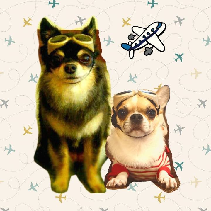 A9497bb7 7f23 47d7 9d2c 7e40b57869fe 1595402012170