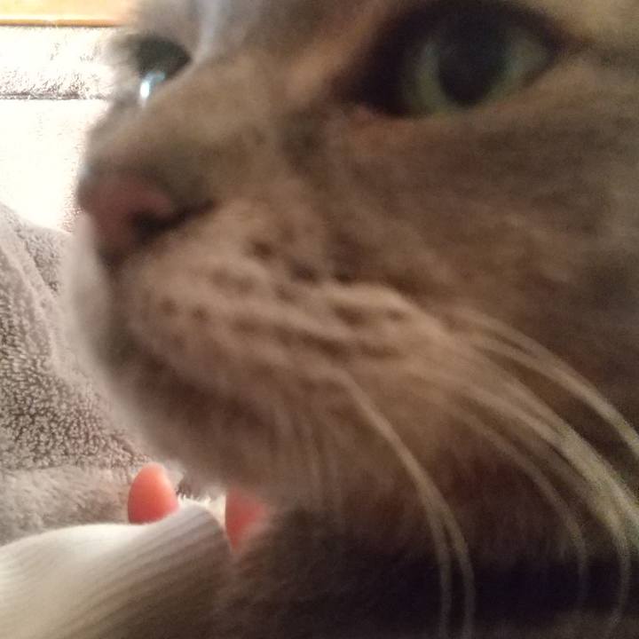 A949a4ea 8ddd 406c 955a 3927d864f112 1671836810091