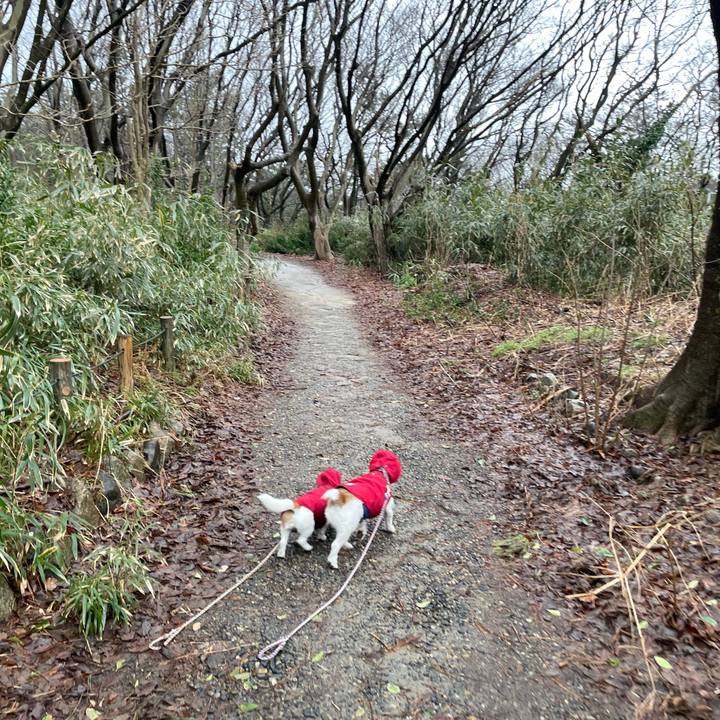 A949e295 cb43 4d6f af9c f03ebd17da76 1644968203976