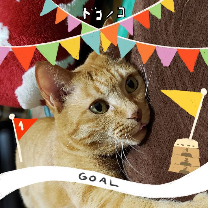 A94a3599 e3e6 4b17 b30e 5f4a385685dc 1729059730137