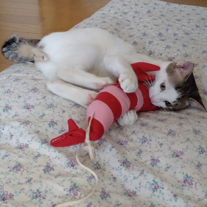 A94a4203 fcc4 4e57 9f9a 649e71b9d740 1651445355660