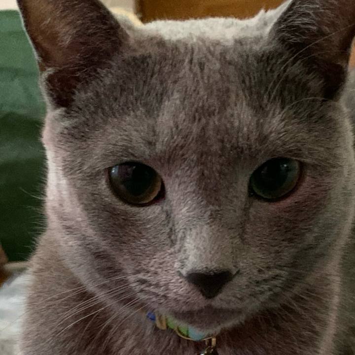 A94a46d5 8c45 457e b8e5 46849a10acf6 1765151846058