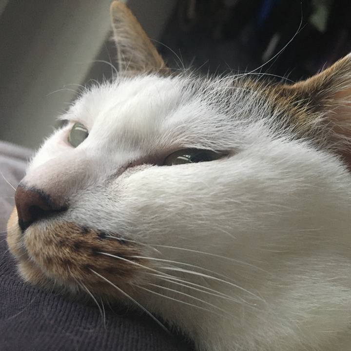 A94a4a4b d0dd 4553 aab1 91ae478b42d8 1577284895098