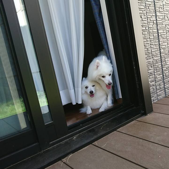 A94a82b7 e49c 42b8 874a 6b0affc1a84f 1597473250784