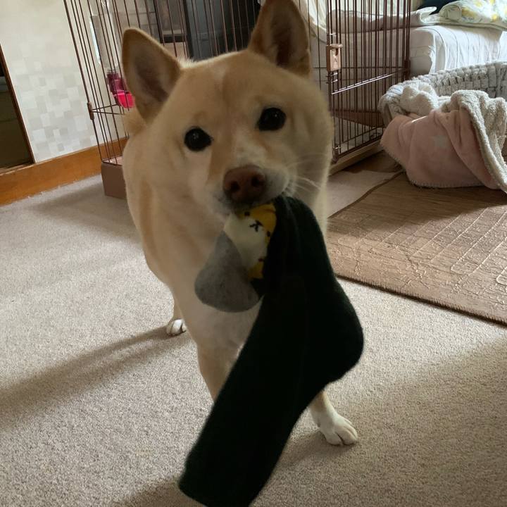 A94a834d d01d 4bd6 ba7f 961dc1641d5a 1652480467510