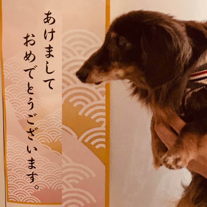 A94abe34 ec60 449f 916a 35c5685b284e 1546391172365