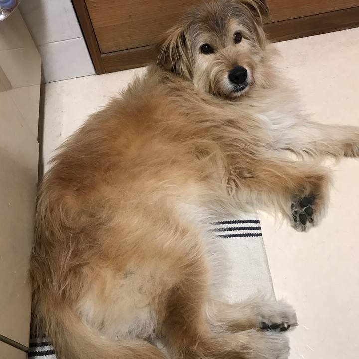 A94ad2ba c585 45af b2b5 ba7519162b5f 1555302206309