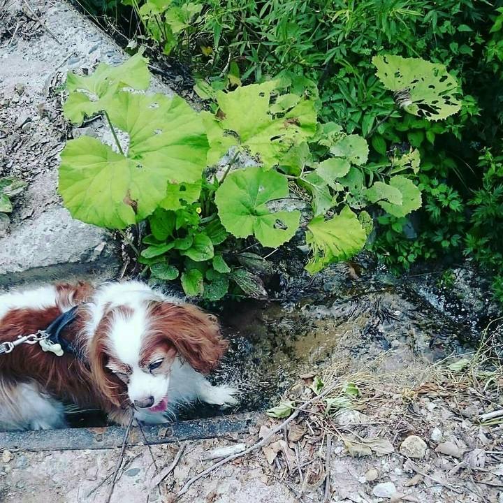 A94ad43d c03b 46af 84df 931b1b23824b 1532252962375