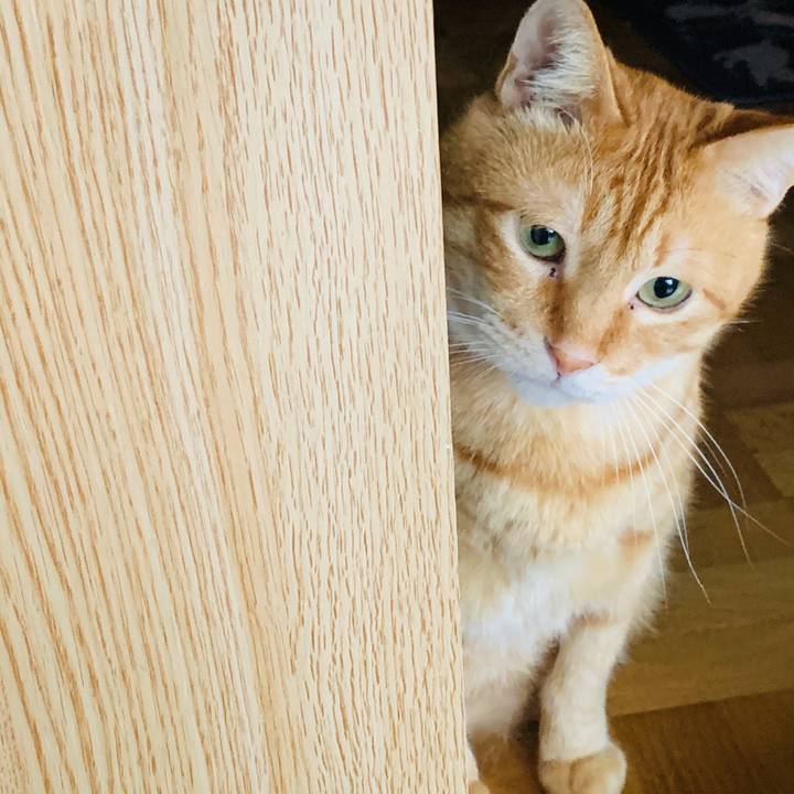 A94b0c4d 505f 4281 8723 daa6d3084818 1593206272037