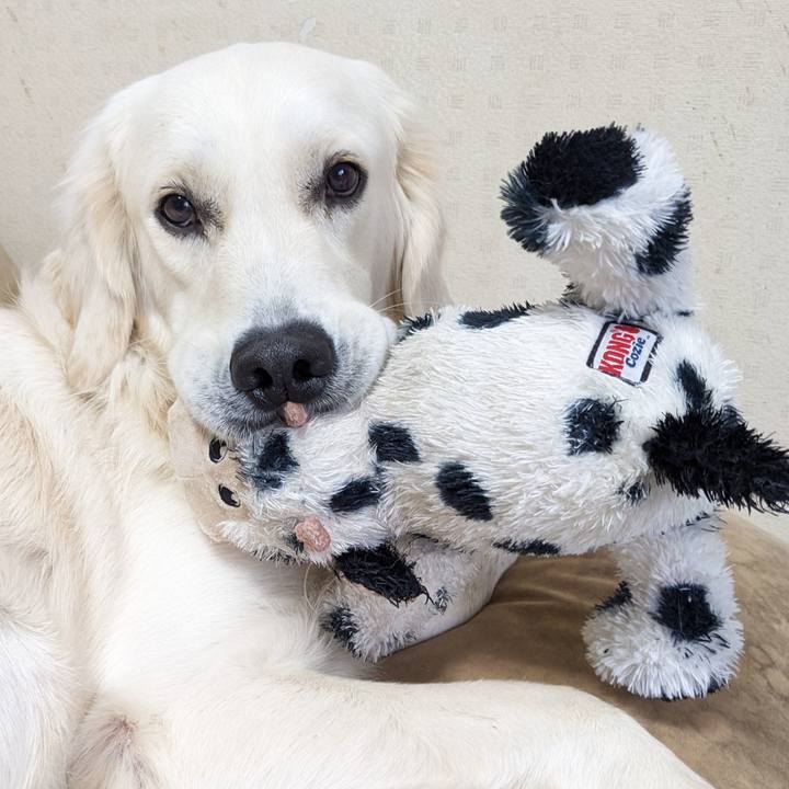 A94b13f2 963a 41ba ad79 b95dd44a7ccb 1762646954750