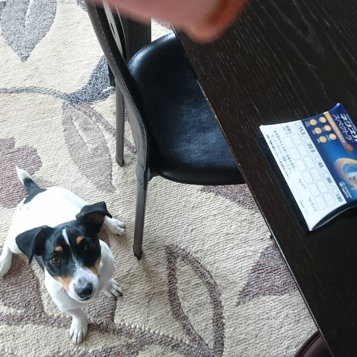 A94b209b 3fcb 4bef 88e8 29700281f691 1557886333814