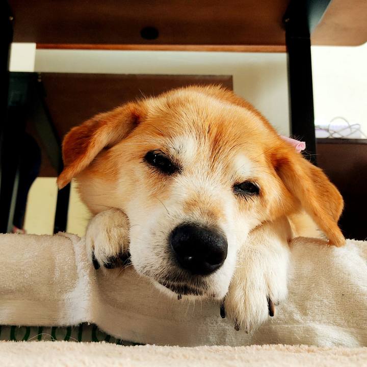 A94b7be2 fdf1 4447 a466 f6ef887be00c 1650366018562