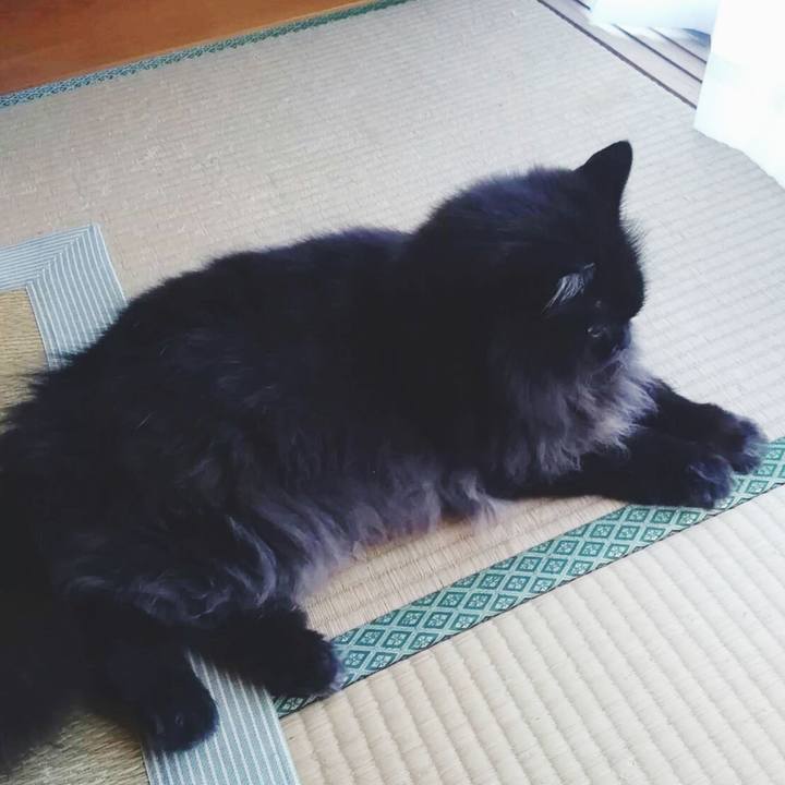 A94bc053 a8d1 4d67 be8a ef0b8dbc01de 1532248366717