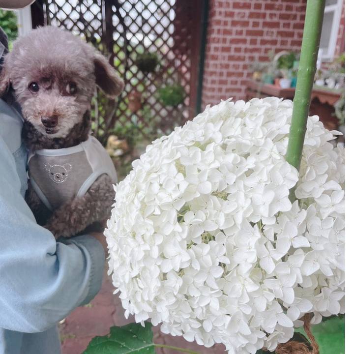 A94bf269 b589 4ec9 a63c aa26922d5dd9 1719645221930