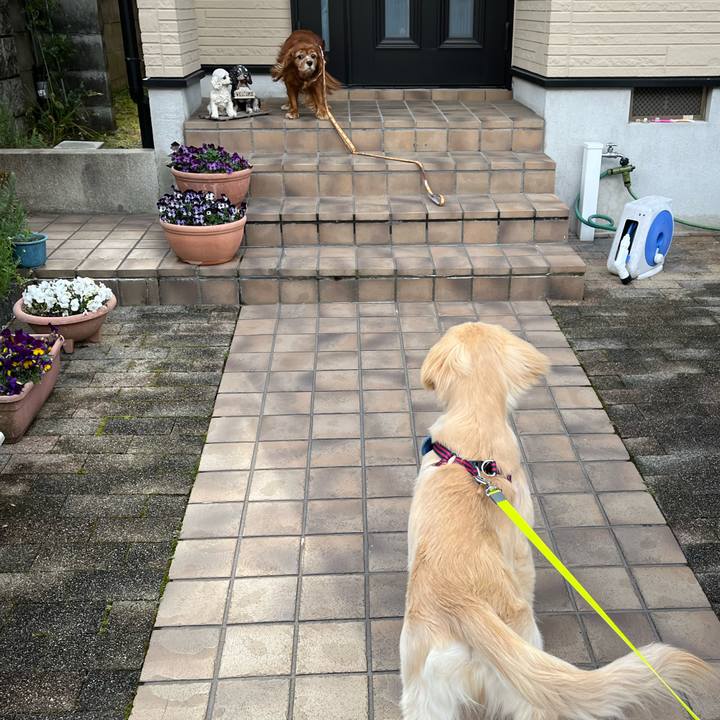 A94bf295 255c 40e9 b696 ffa8ba9afee0 1710897217131