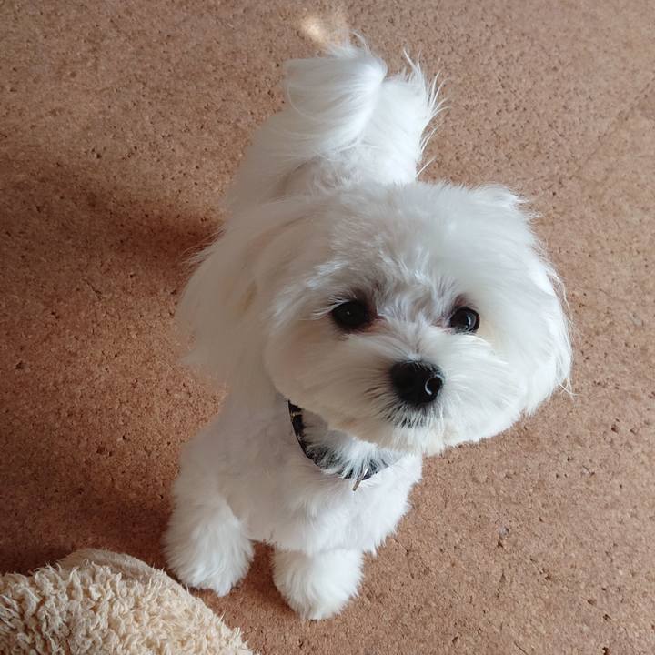 A94bf782 7057 472e 9752 f21f54489834 1572914984346