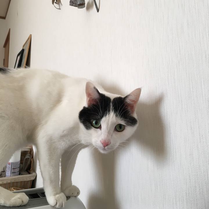 A94c0171 edf1 410a 9406 82cba711ff69 1515892101813