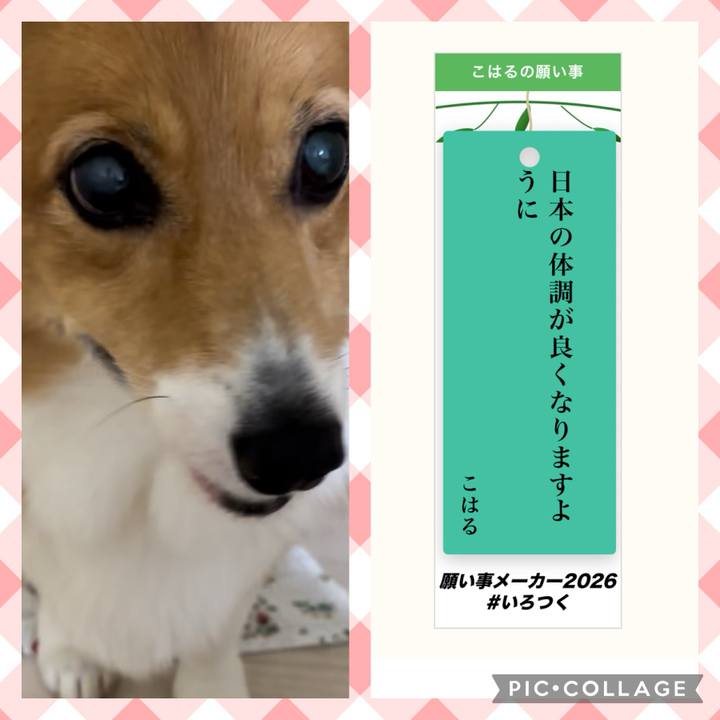 A94c7c4e ced9 431b b690 28f0cd5b5704 1783435537789