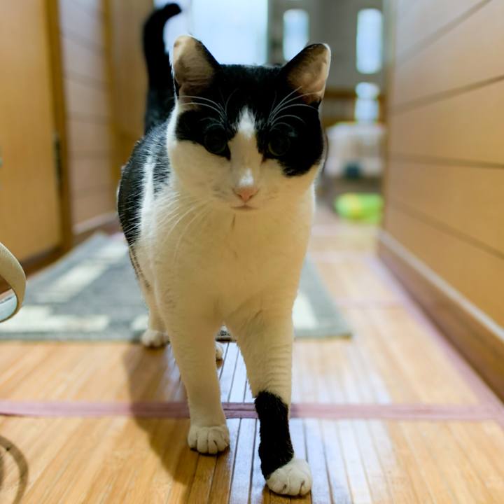 A94c897c 9df4 459c aea3 e42ace3984fd 1588210627362