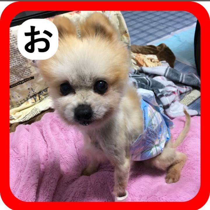 A94cc814 a853 455d b0ed 5883cb50de56 1515117091220