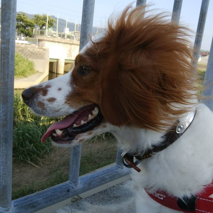 A94d2629 ba1e 47bd 88f1 b4a84e8d9255 1533545443602