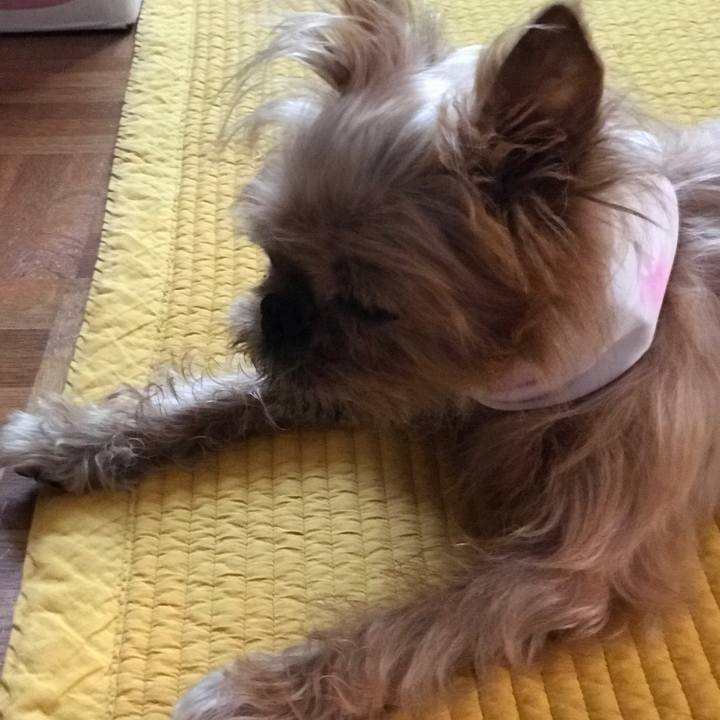 A94d4a16 25ad 4e5a 94b8 9c7b381f6078 1564530484073