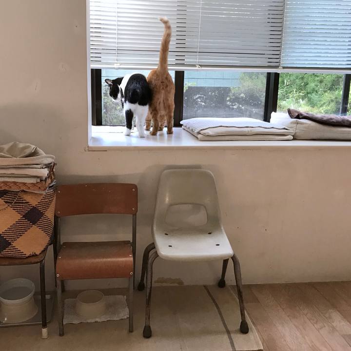 A94d56ad 7b8f 4967 8b64 04e43136d9ef 1538529578923