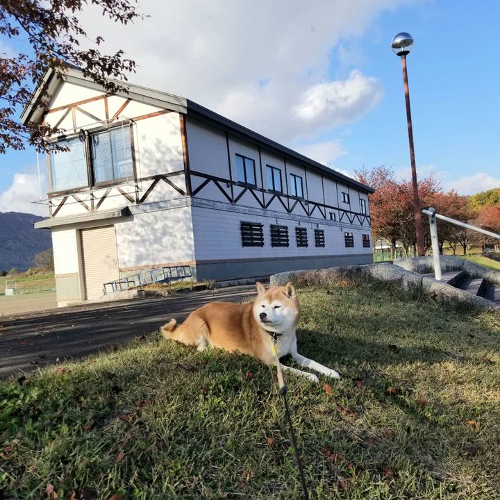 A94d7ff6 91e0 45c4 91cd a2fc700feafb 1667367815210