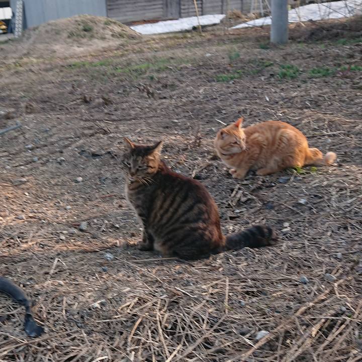 A94dc1b9 8d0c 49f4 bc81 12c3f7446c85 1649580421243