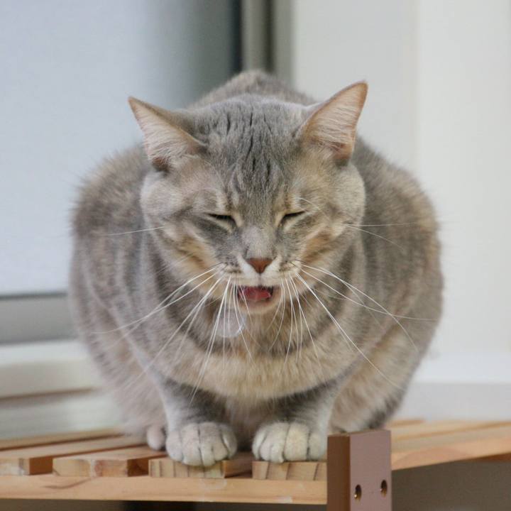 A94dcf6b cff0 4dc1 ab62 bdd34e8be469 1517276913914