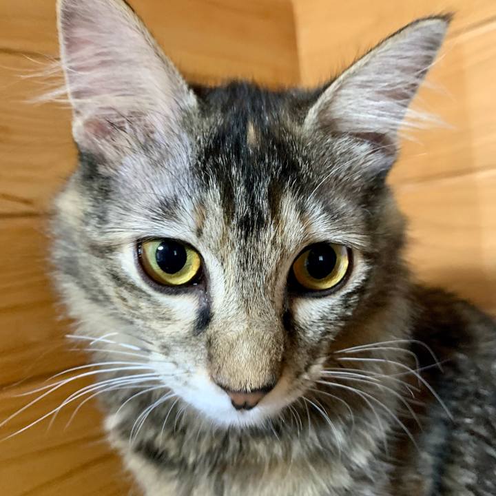 A94dd40f 09a6 4c94 bc18 72c1d2443fed 1648265701835