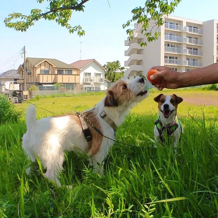 A94e2c96 4213 4023 99eb c45ca09fd3bc 1683196217376