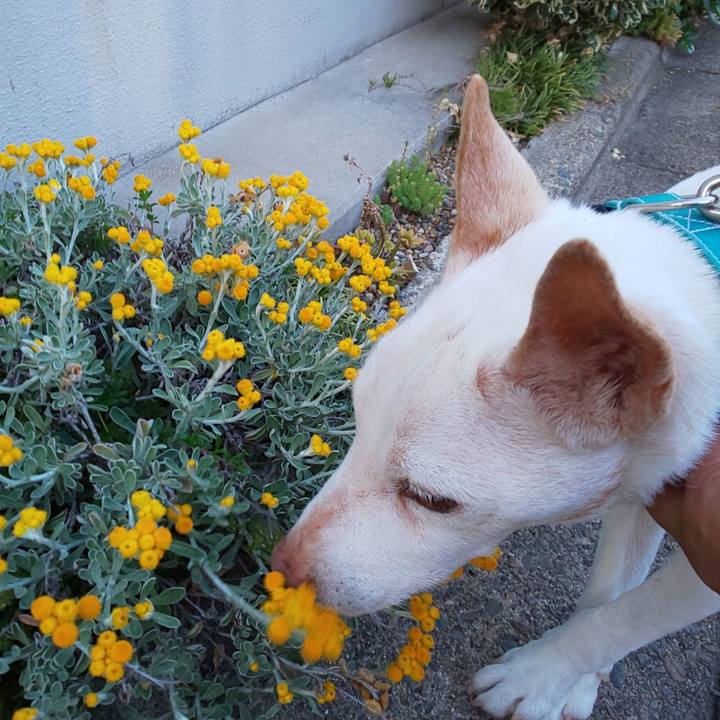 A94e380c 2f82 4551 a124 9a43161fcfaf 1557568763236