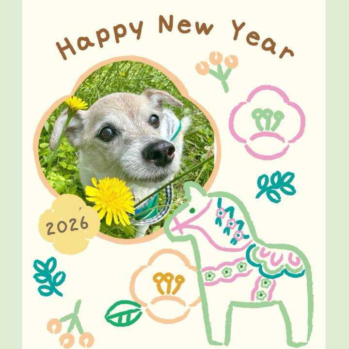 A94e49db dd8e 4e0d aaa7 b4c74a2bf713 1767217806828