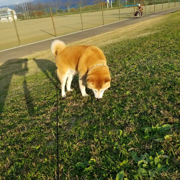 A94e685b 5d61 485a 9295 bbb3523ca093 1636957419505