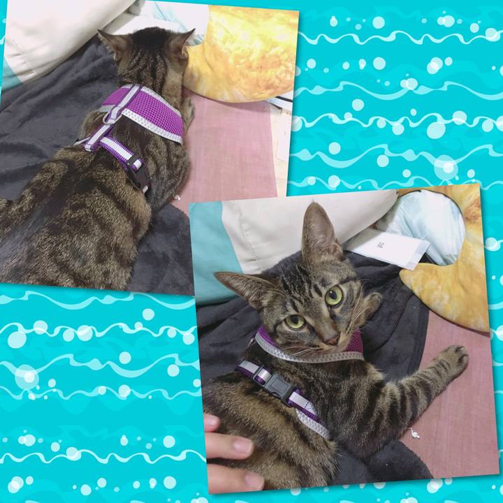 A94ea4d9 9609 43a9 ba6a 3b833fd88a98 1560573965229