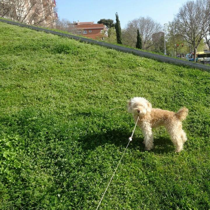 A94eb0e1 ff91 488d a92d a03cc32782a4 1586428222053