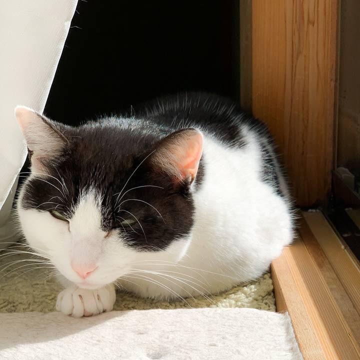 A94ecdb2 eafd 4971 9693 6464626ef954 1586911971134