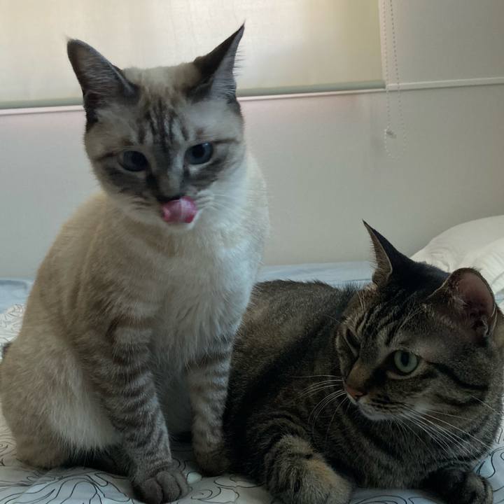 A94ed54d 1023 4651 95af 3884be4fe85d 1633220667399